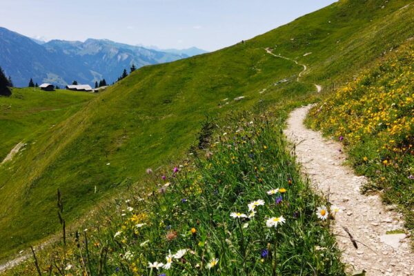 Foto Wanderweg über Almwiese von Vorderstocken- zum Oberstockensee über Erlenbach im Simmental.