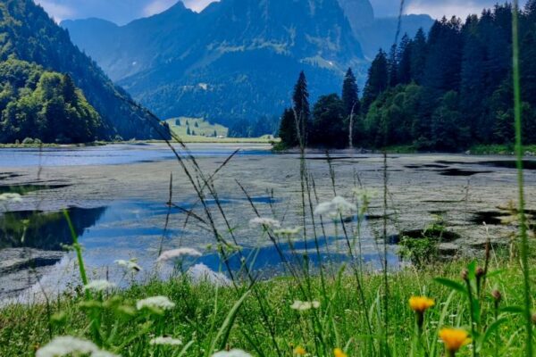 Foto vom Obersee mit Brünnelistock, Rossälplispitz und Plattenberg im Hintergrund.