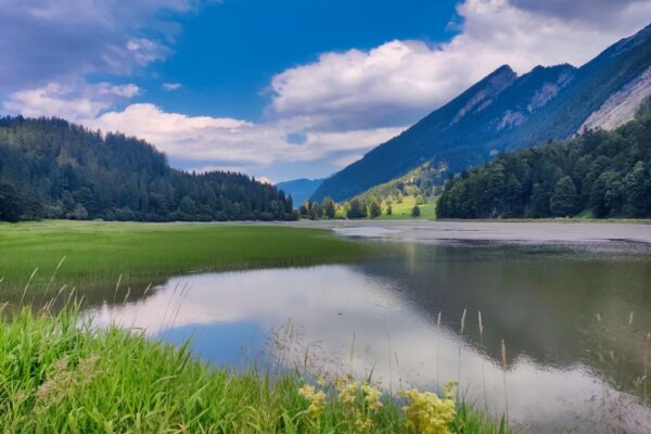 Foto vom Ausblick über den Obersee zurück Richtung Tal und Trosswald.