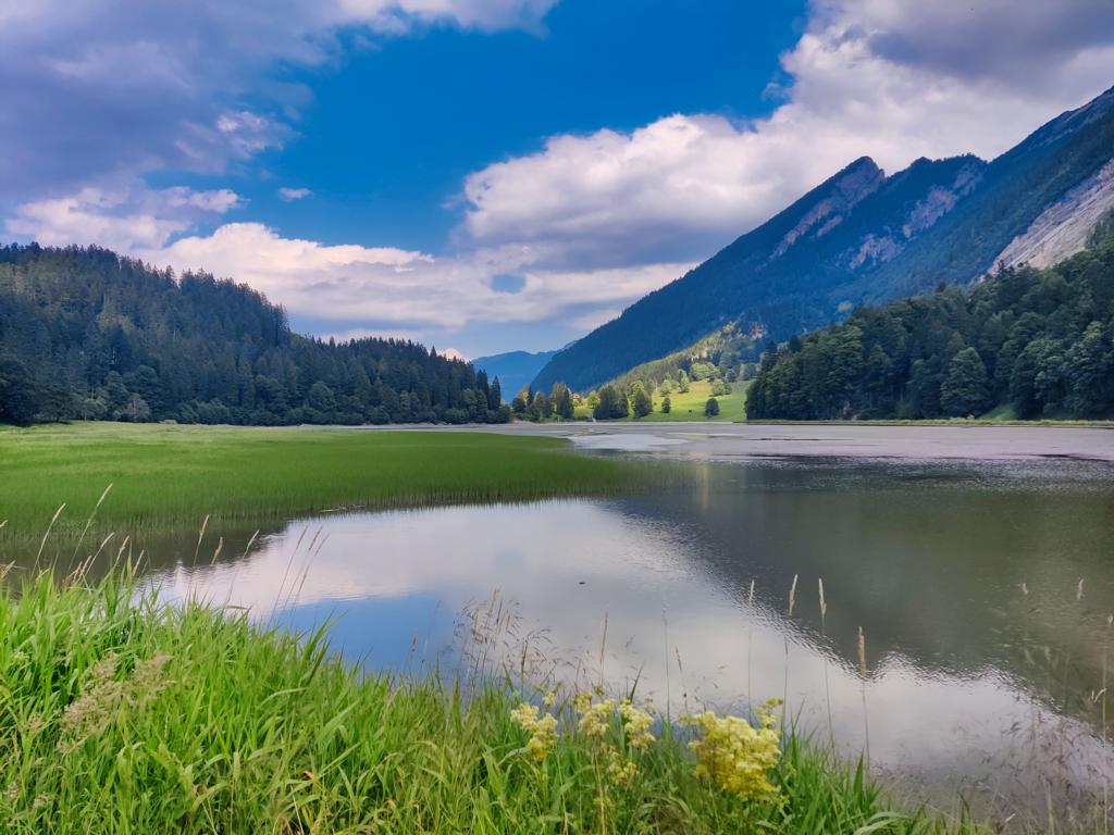 Foto vom Ausblick über den Obersee zurück Richtung Tal und Trosswald.