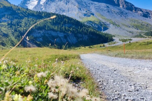 Foto bei der Wanderung über die Spittelmatte mit Altels und Balmhorn im Hintergrund.