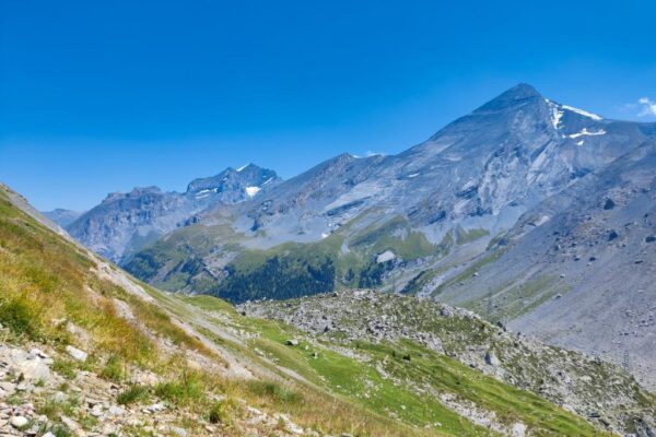 Foto vom Altels und oberes Tatelishorn, vom Schwarzgrätli aus gesehen.