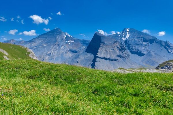 Foto von Altels, Balmhorn und Rinderhorn bei der Wanderung zum Schwarzgrätli.