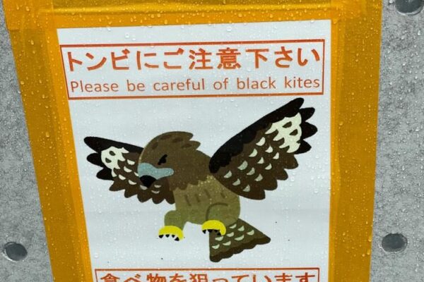 Warnschild mit Zeichnung eines Schwarzmilans, be careful of black kites they aim at your food