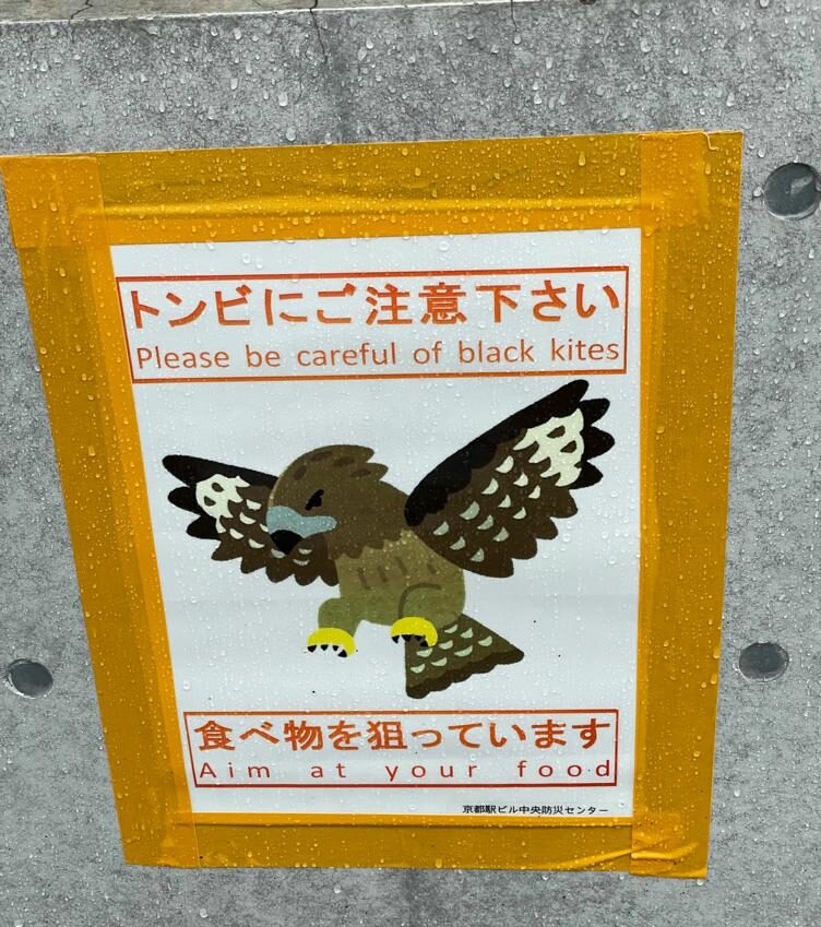 Warnschild mit Zeichnung eines Schwarzmilans, be careful of black kites they aim at your food