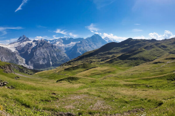 Bergpanorama mit Wiesen im Vordergrund und Berner Alpen im Hintergrund mit Gletschern.