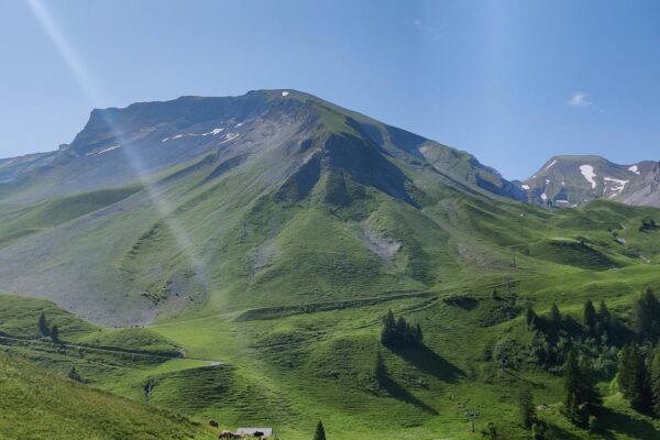 Klewenalp Gitschenen Schwalmis von der Klewenalp aus gesehen