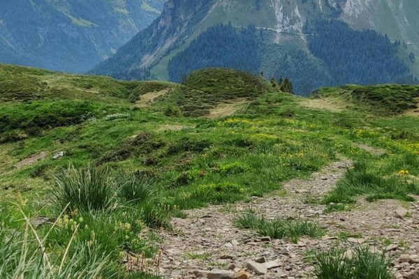 Klewenalp Gitschenen Ausblick ins Isenthal und auf die Berge mit Wanderschuhen im Vordergrund. Klewenalp Gitschenen Wanderweg.