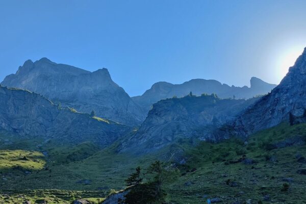 Morgenlicht auf der Alp Oberfeld und den Bergen